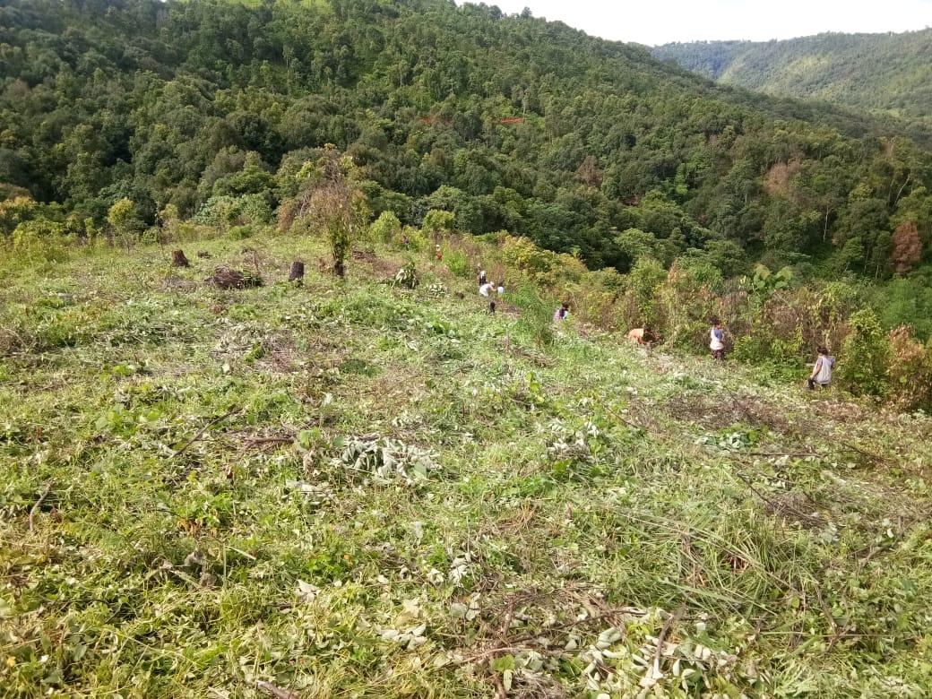 C:\Users\Lavinia Pde\Downloads\WhatsApp Image 2023-02-02 at 10.17.03 (3).jpeg